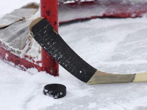 TEXAS BRAHMAS READY FOR DRAFT DAY