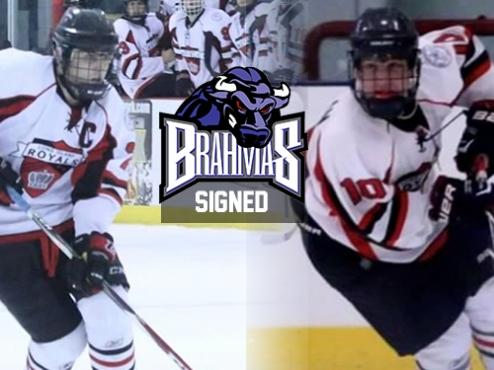 Royal Flush for Brahmas