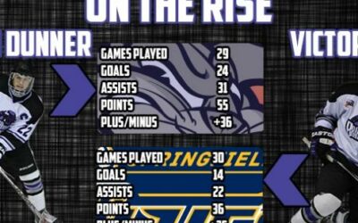 Pair Of Brahmas Moving Up