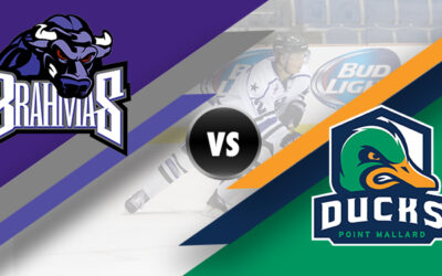 Brahmas – Ducks Preview