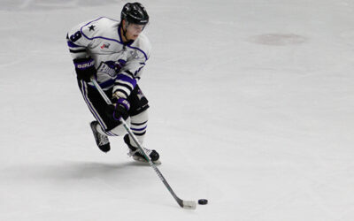 Brahmas Take Two in Euless