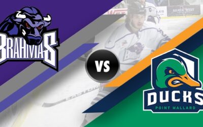 Brahmas – Ducks Preview