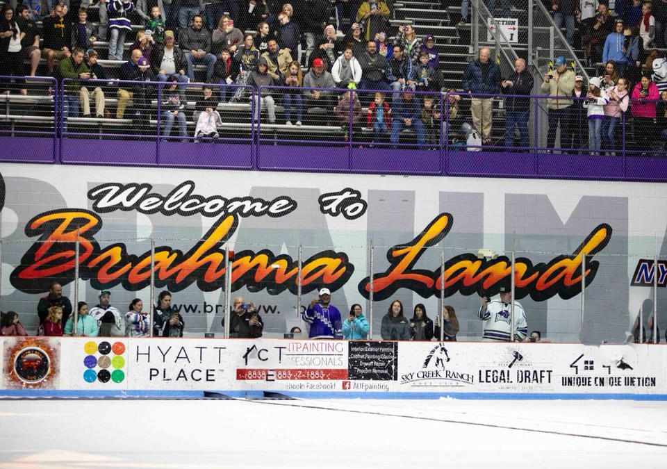 Part 2: Texas Brahmas roll in new wave of talent