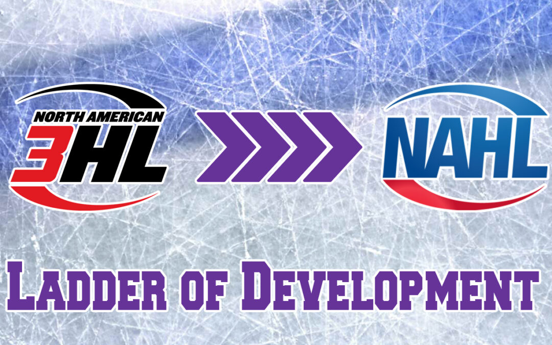 Texas Brahmas lead the way climbing the “Ladder of Development”