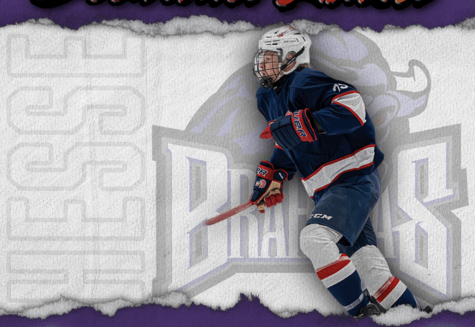 Welcome to Brahma Land Shayn Hesse!